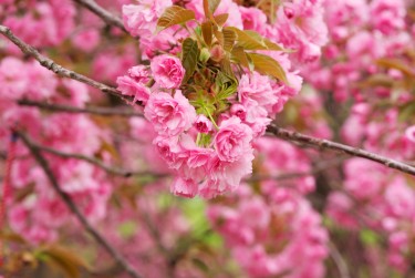 南通海门区1线下个人借款平台一站式服务，轻松解决资金难题