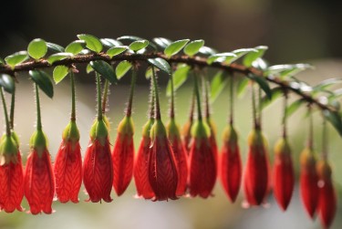 南通海门区1零用贷短借：轻松解决临时资金需求